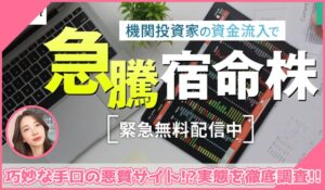 Assisport(アシスポート)丨株式会社アシストに登録して実態を調査！<b><span class="sc_marker">その結果…巧妙な手口の悪質サイトと判明！？</span></b>