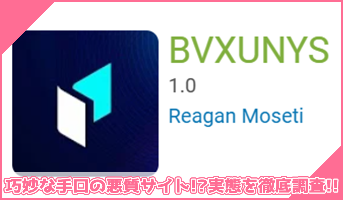 BVXUNYSに登録して実態を調査!<b><span width=