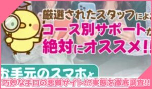 New Media Concept(ニューメディアコンセプト)丨大島眞理子(株式会社ドライブ)に登録して実態を調査！<b><span class="sc_marker">その結果…巧妙な手口の悪質サイトと判明！？</span></b>