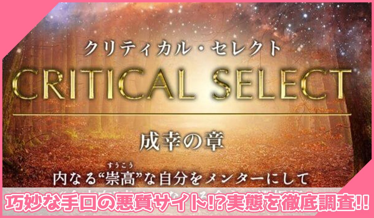 Critical Select(クリティカルセレクト)丨片山真一(ミチノヒカリ株式会社)に登録して実態を調査!<b><span width=